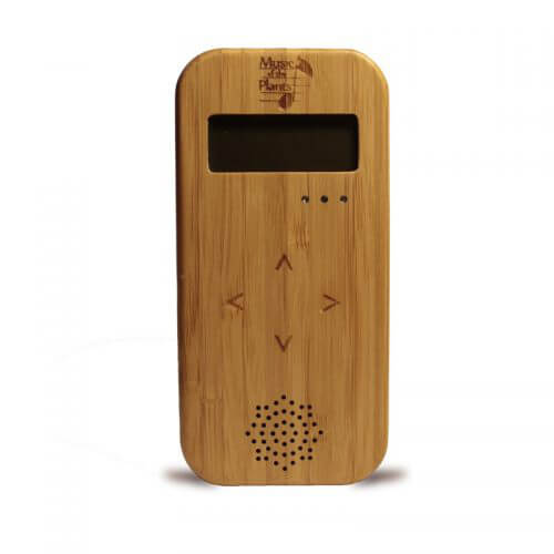 Bamboo
